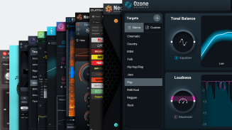 iZotope Music Production Suite 7 EDU - 5